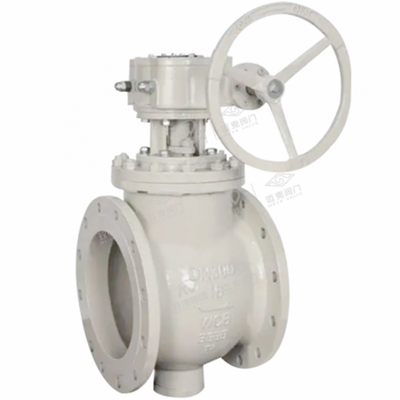 %E5%81%8F%E5%BF%83%E6%97%8B%E8%BD%AC%E9%98%80_0