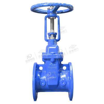 法兰明杆软密封闸阀