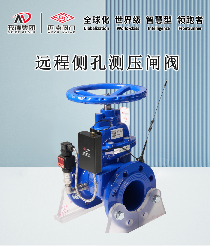 1724139467144786.jpg 远程侧孔测压闸阀_01.jpg