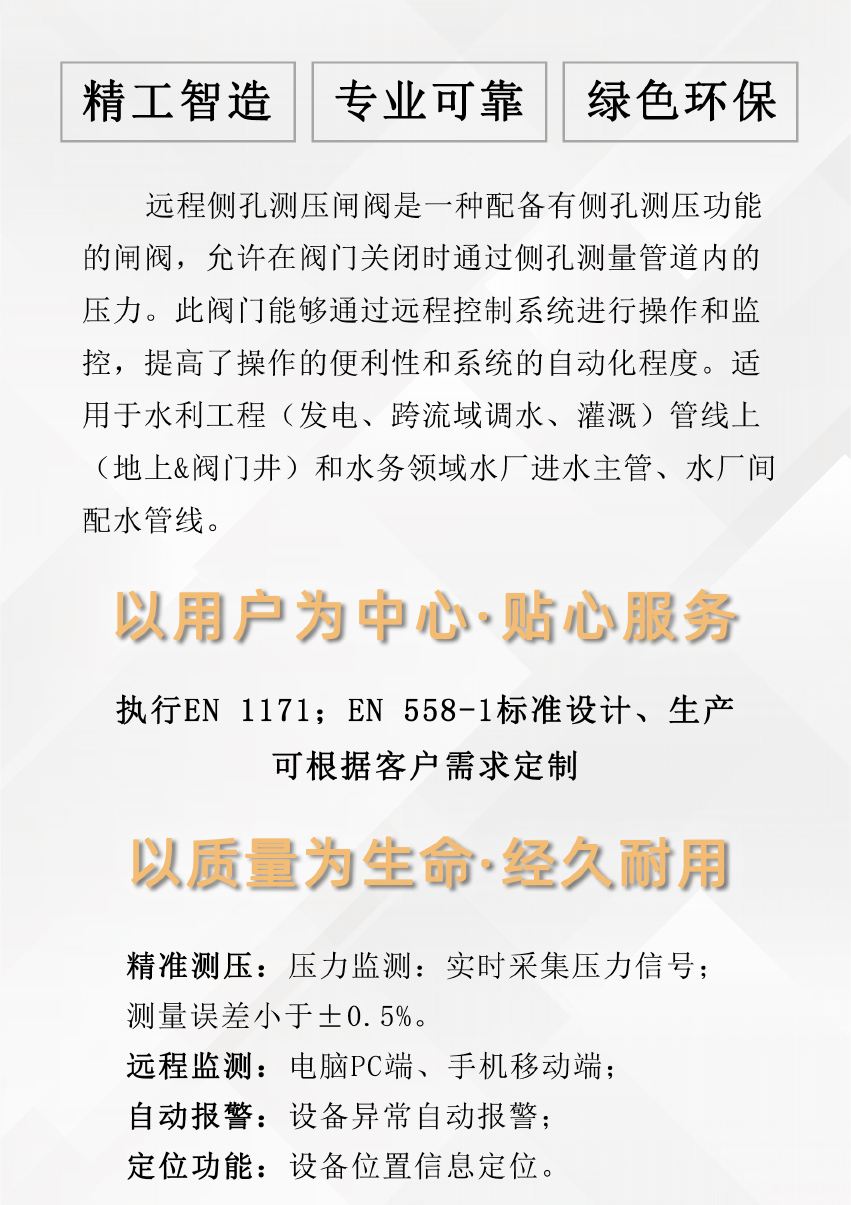 1724139474458249.jpg 远程侧孔测压闸阀_02.jpg